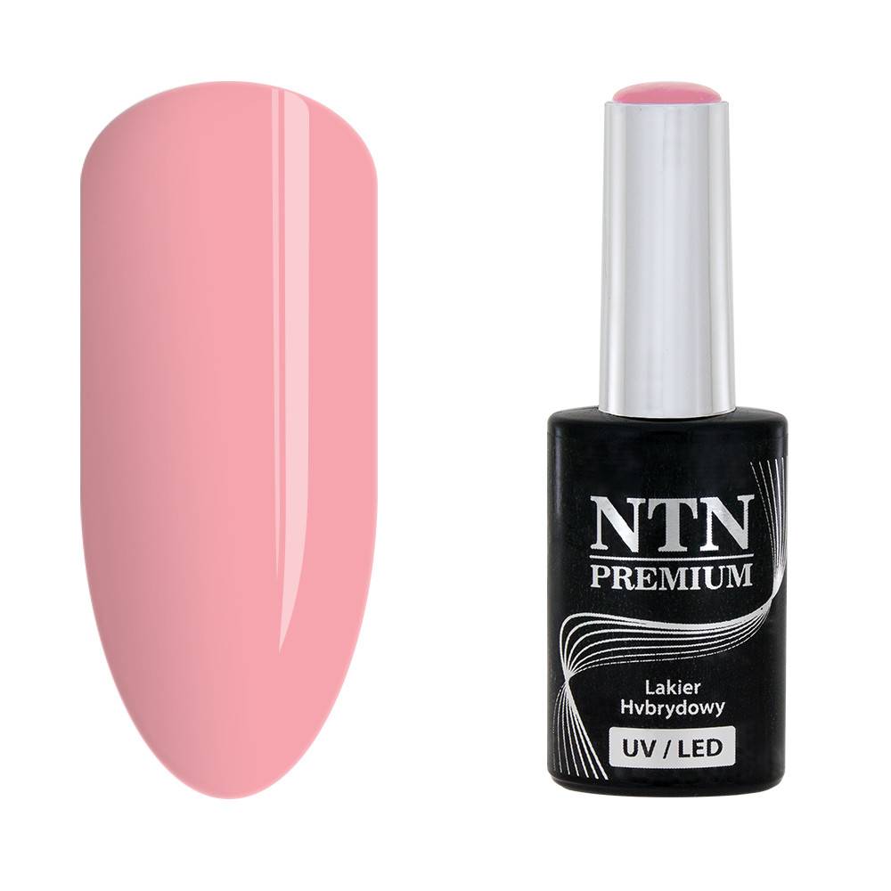 NTN premium 141 - NailArtBoutique
