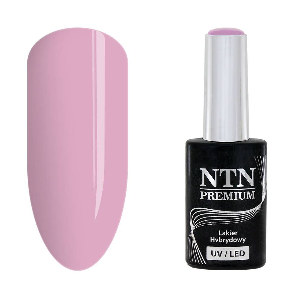 NTN premium 148 - NailArtBoutique