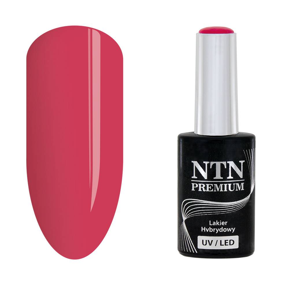 NTN premium 165 - NailArtBoutique