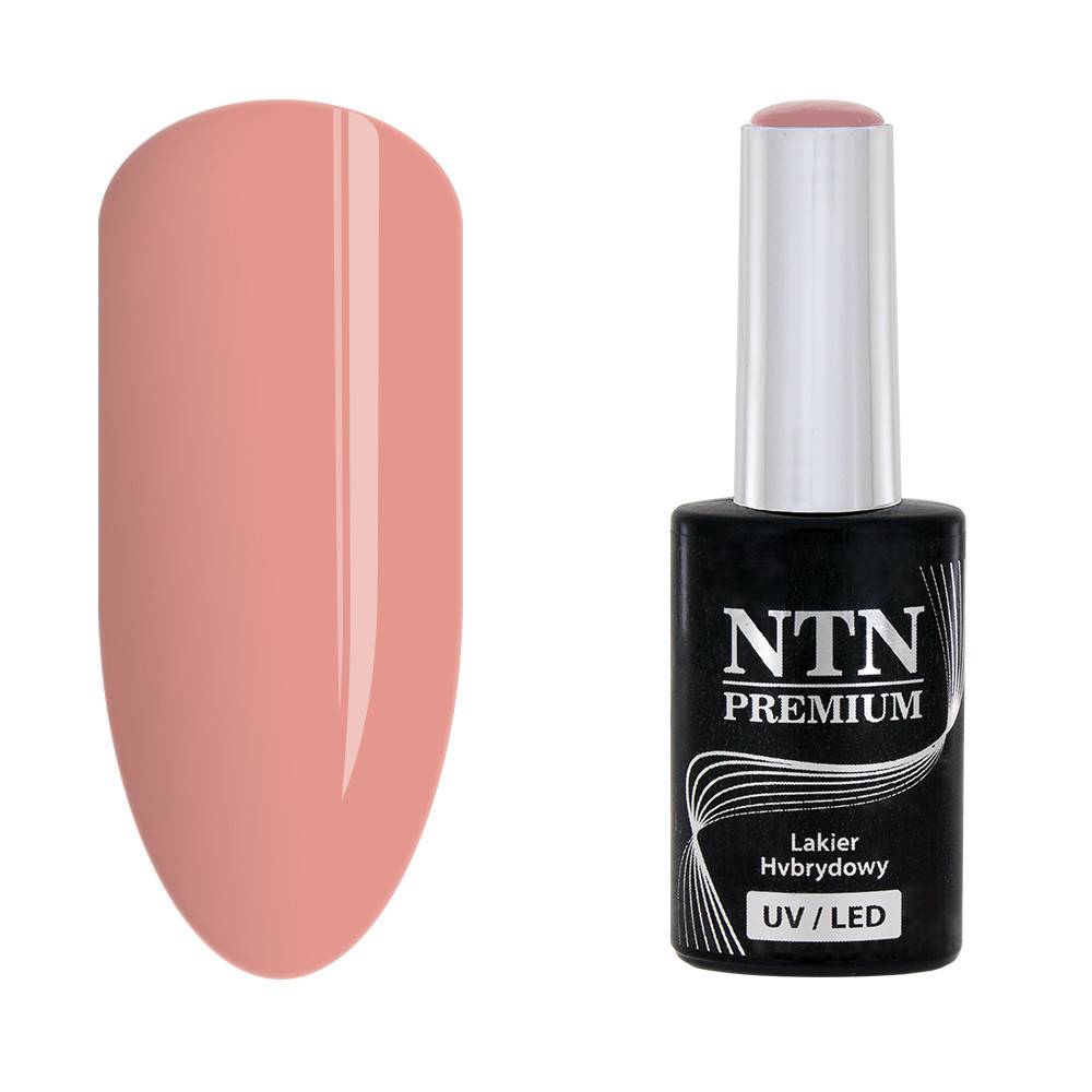 NTN premium 31 - NailArtBoutique