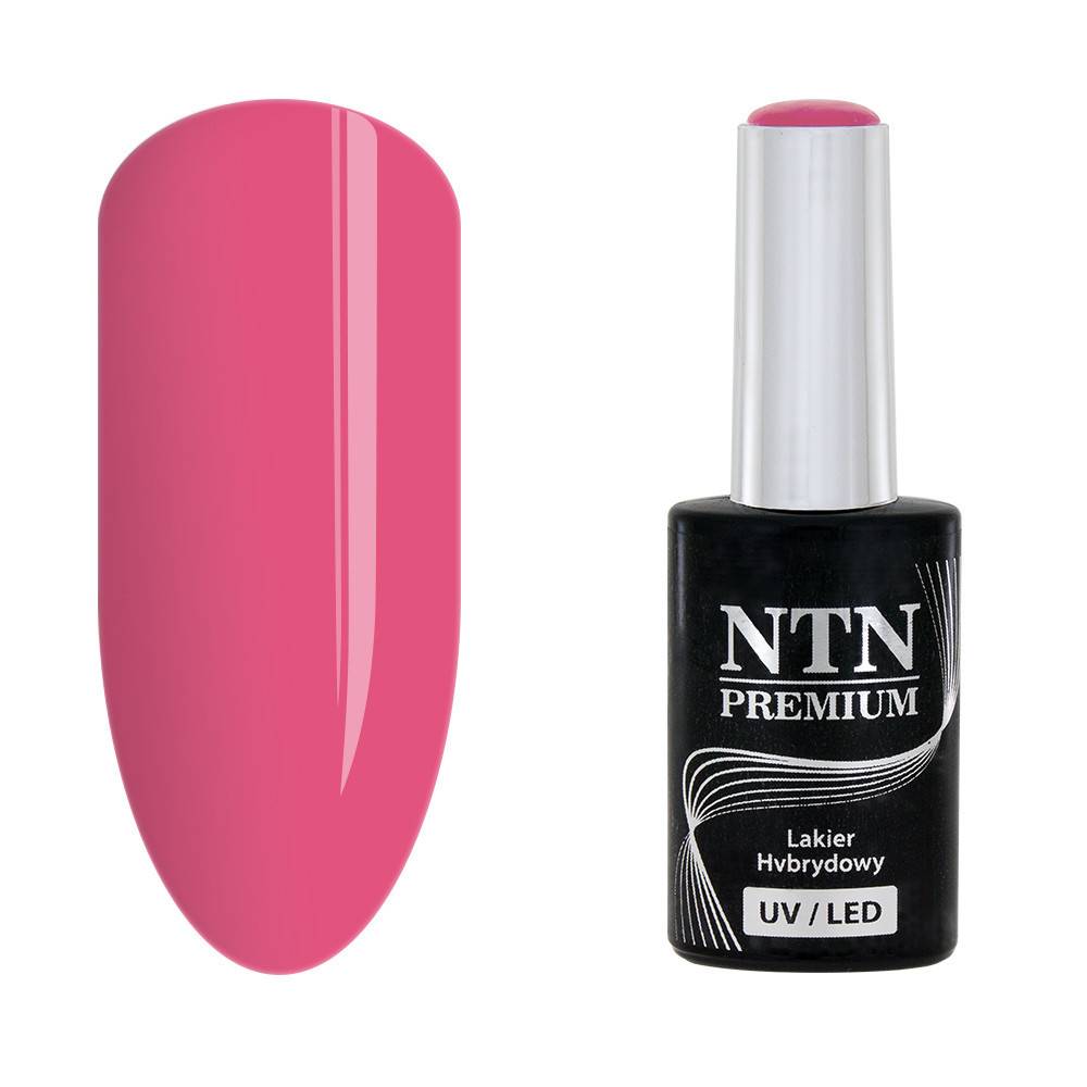 NTN premium 39 - NailArtBoutique