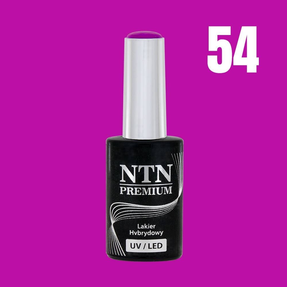 NTN premium 54 - NailArtBoutique