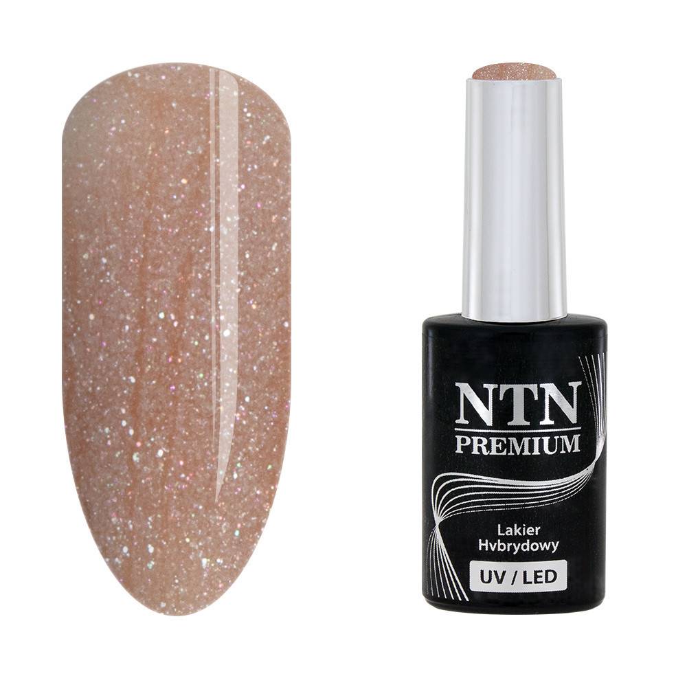 NTN premium 63 - NailArtBoutique