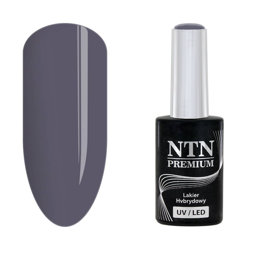 NTN premium 65 - NailArtBoutique