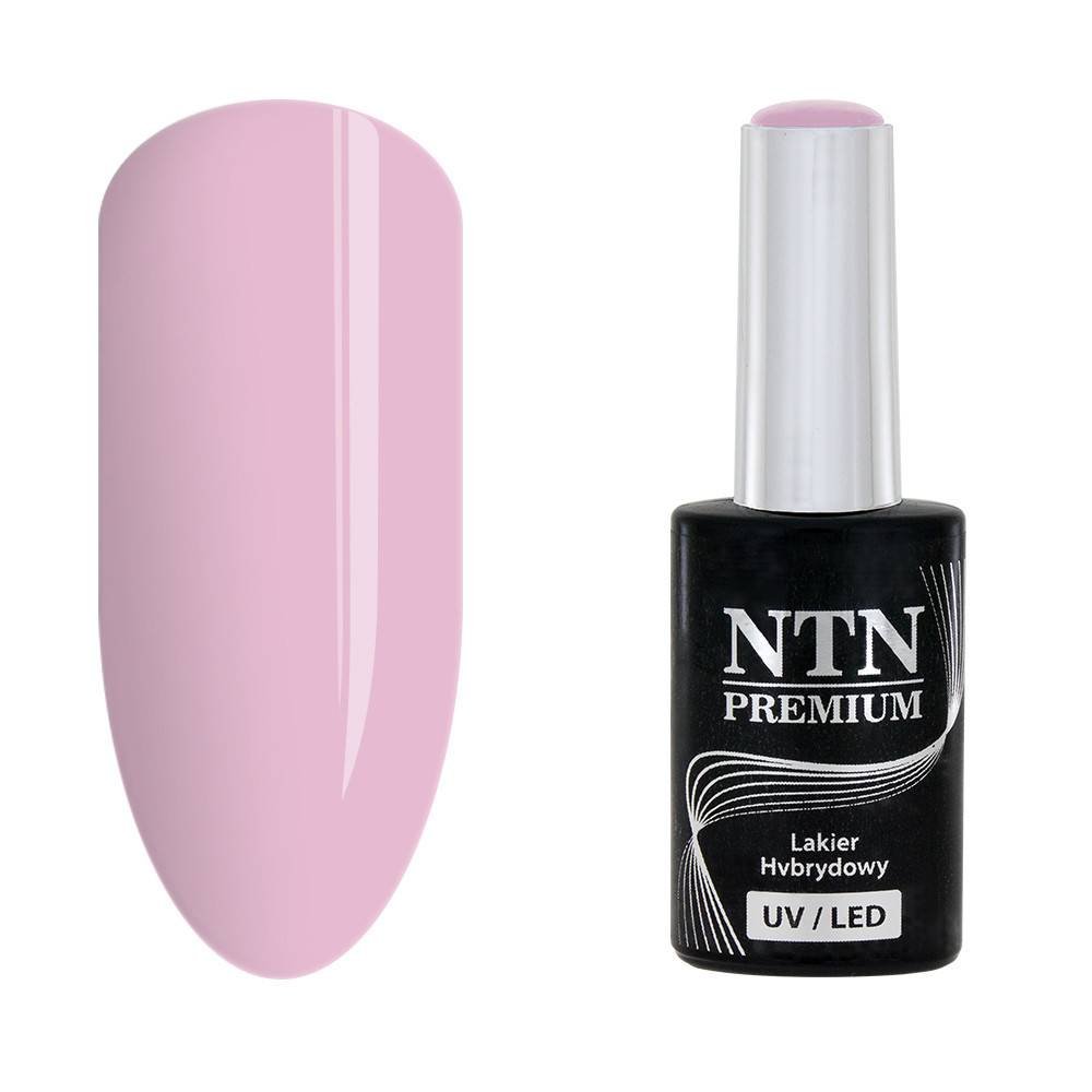 NTN premium 93 - NailArtBoutique