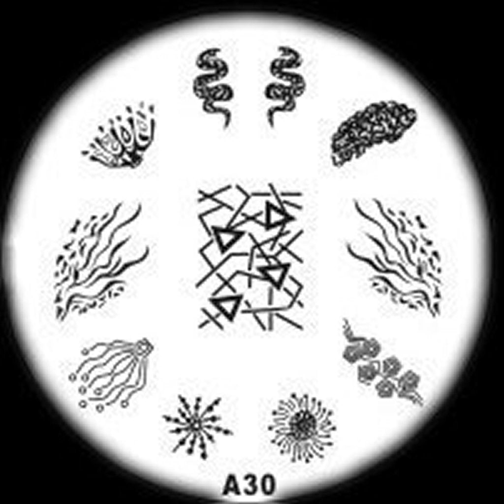 Plaque de Stamping A30 - NailArtBoutique