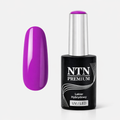 NTN premium 54