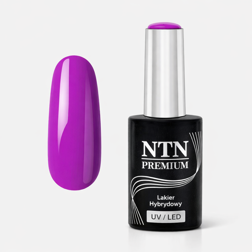 NTN premium 54
