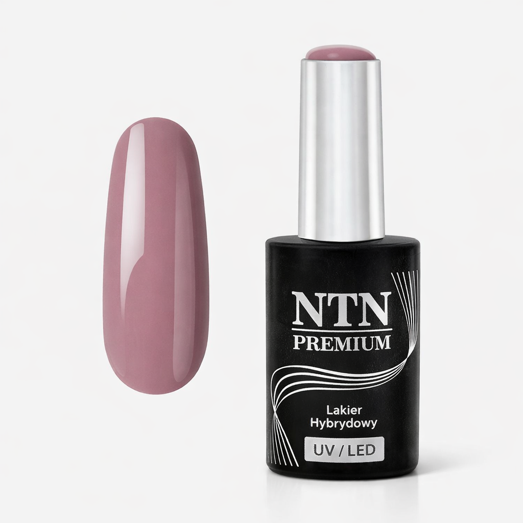 NTN premium121