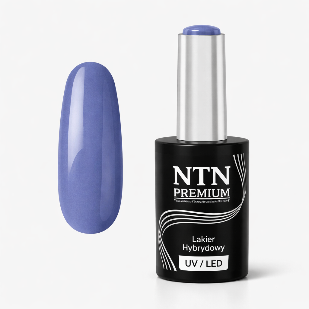 NTN premium 145