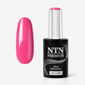 NTN premium 151