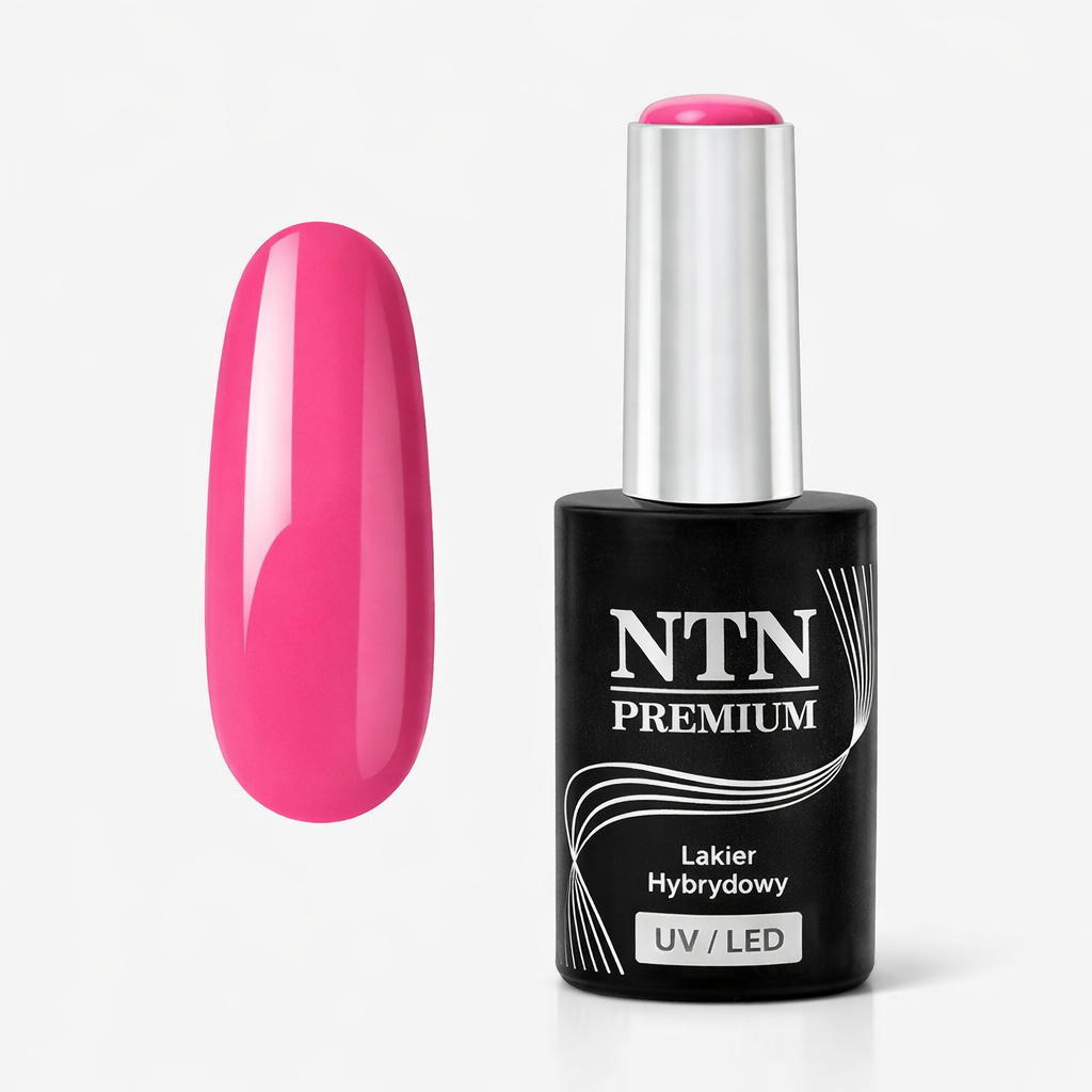 NTN premium 151