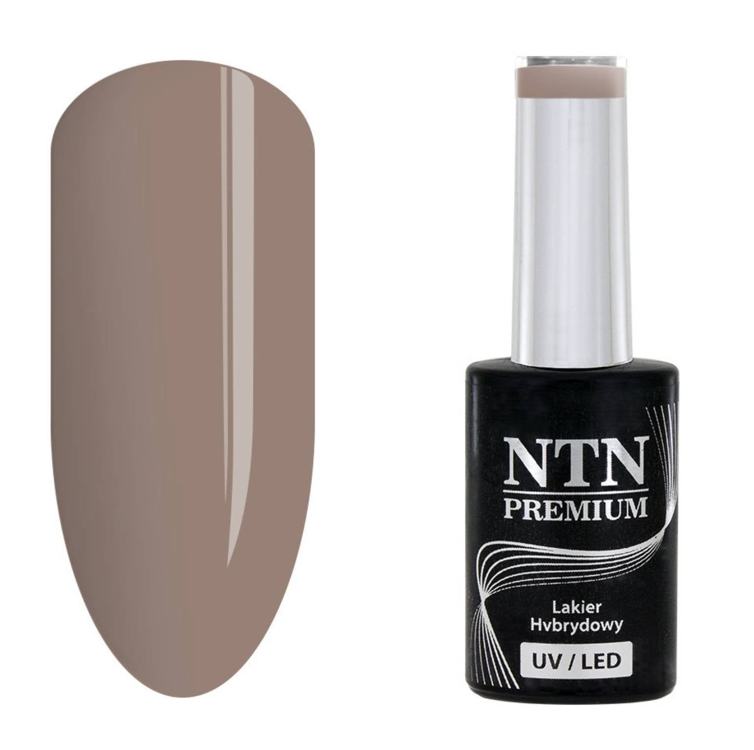 NTN premium 10