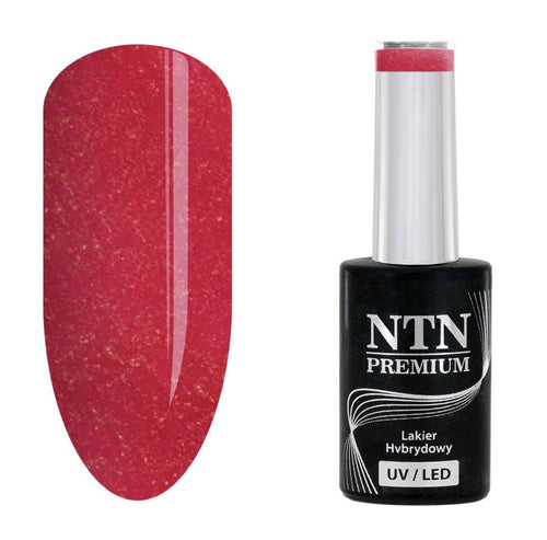NTN premium 102 - NailArtBoutique