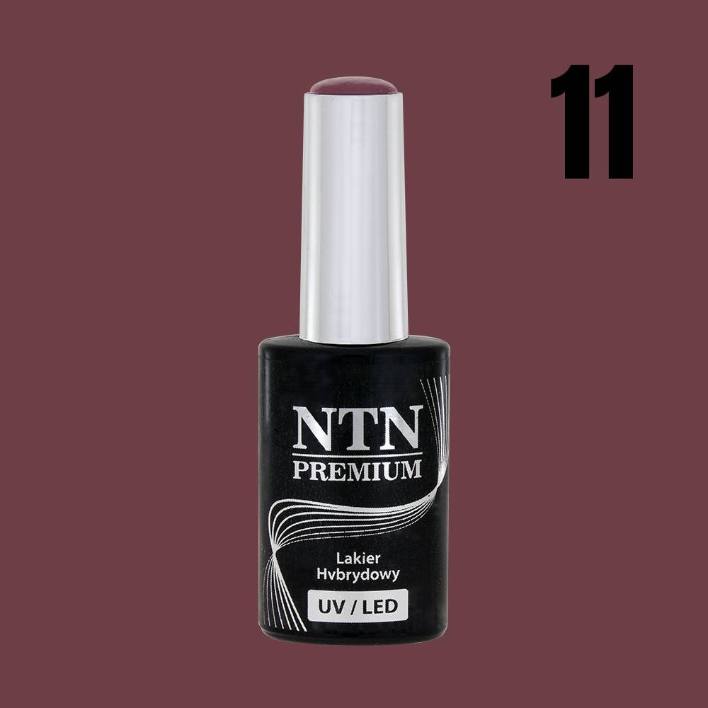 NTN premium 11