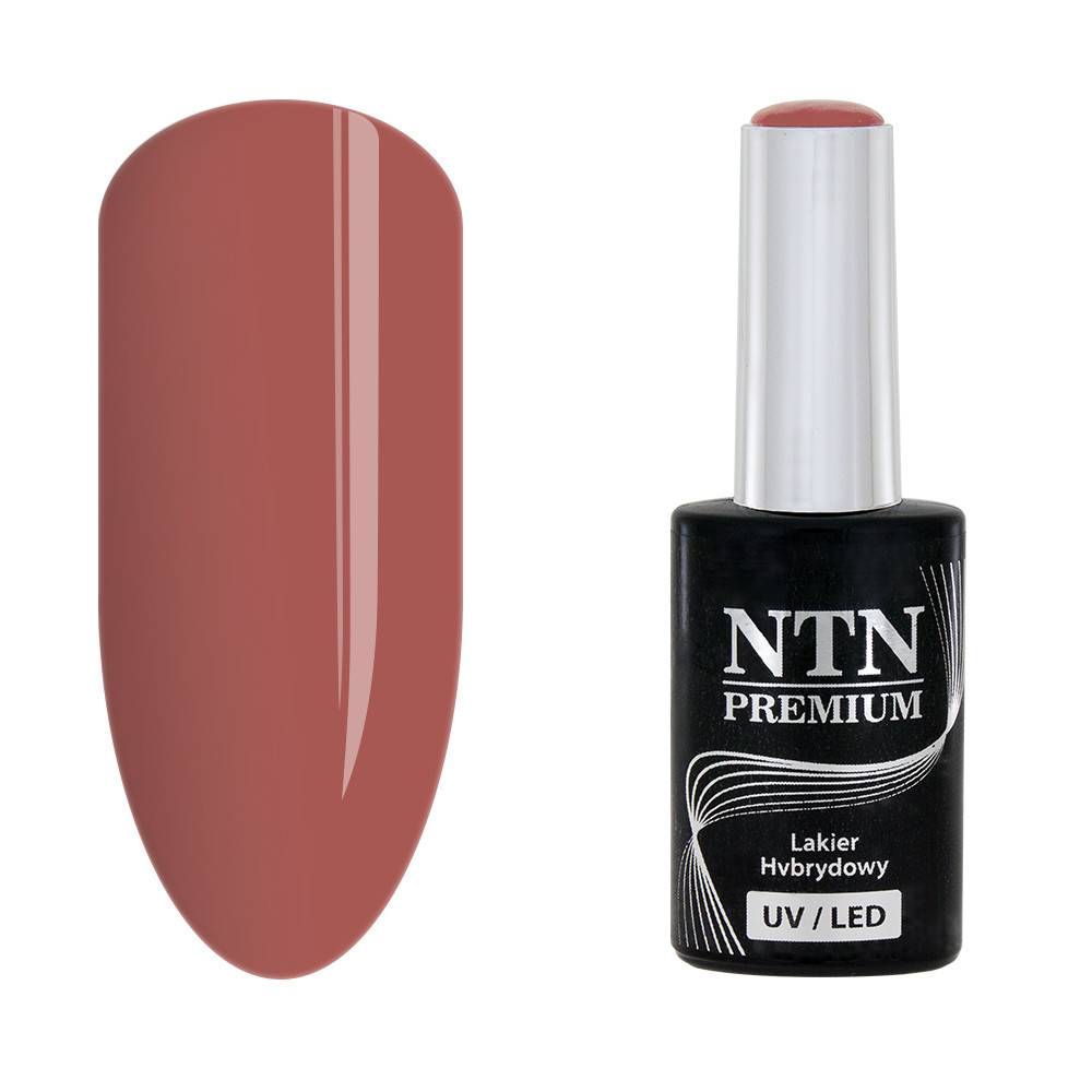 NTN premium 12