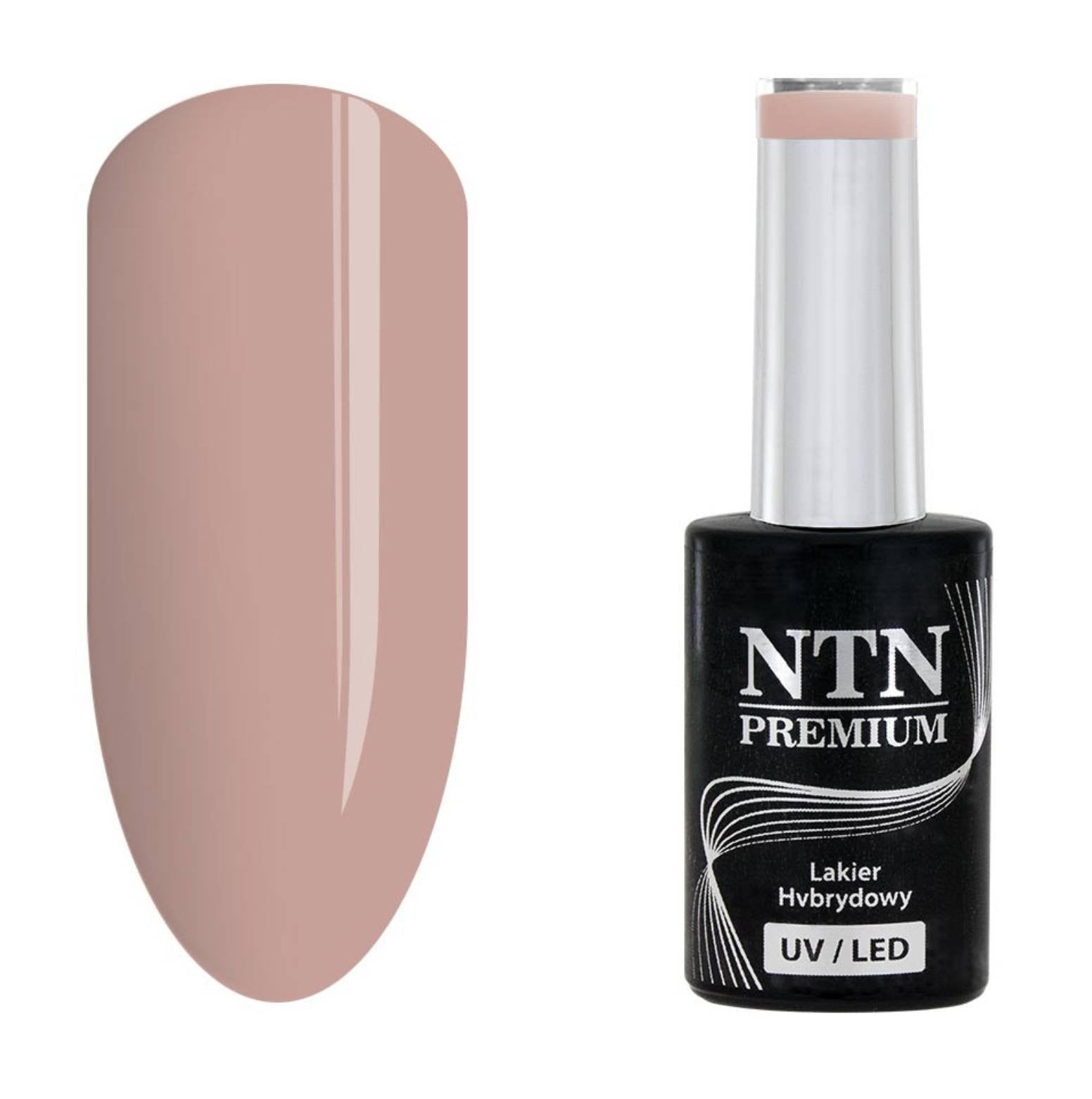 NTN premium 120
