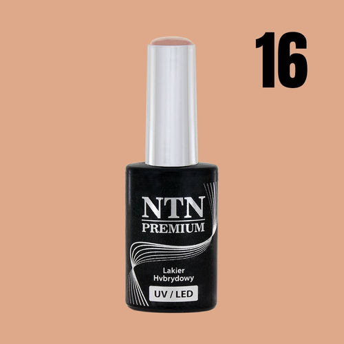 NTN premium 16 - NailArtBoutique
