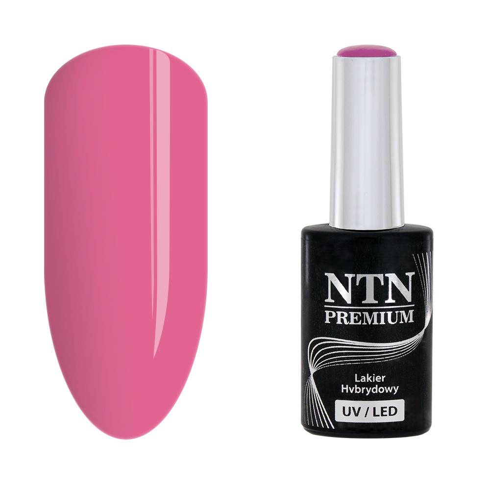 NTN premium 21