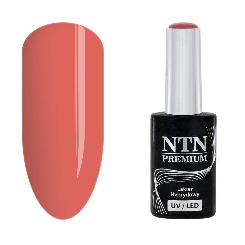 NTN premium 28