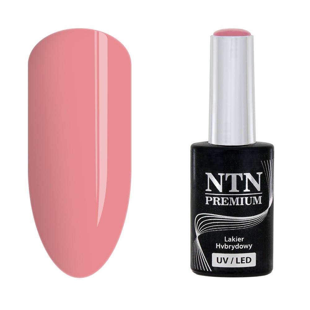 NTN premium 32