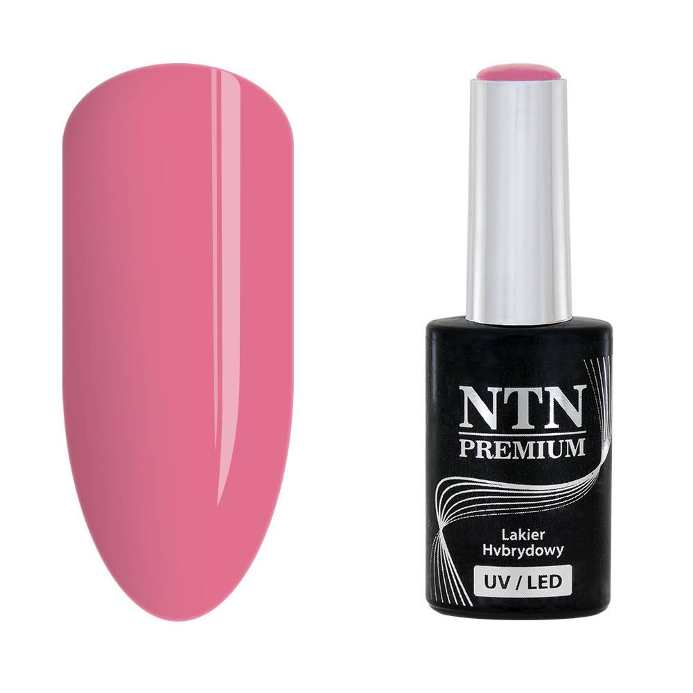 NTN premium 33