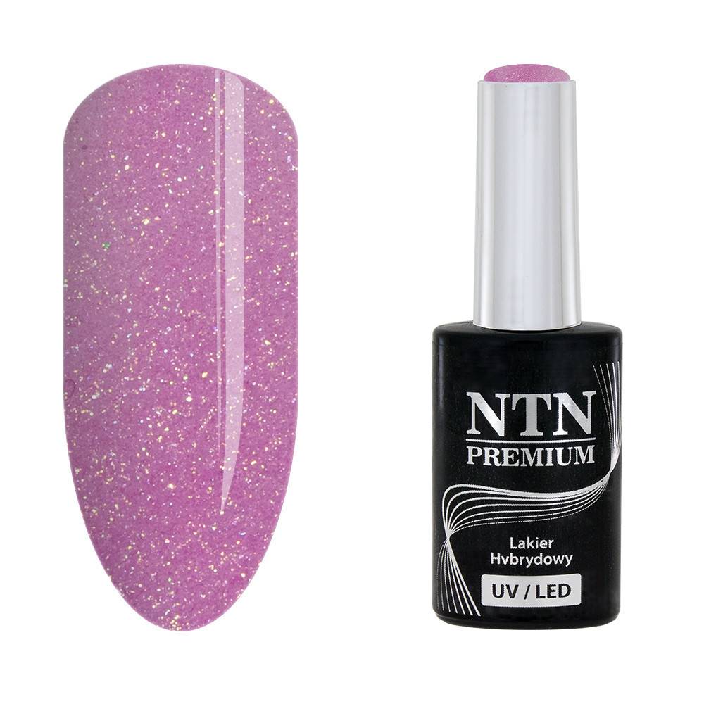 NTN premium 48