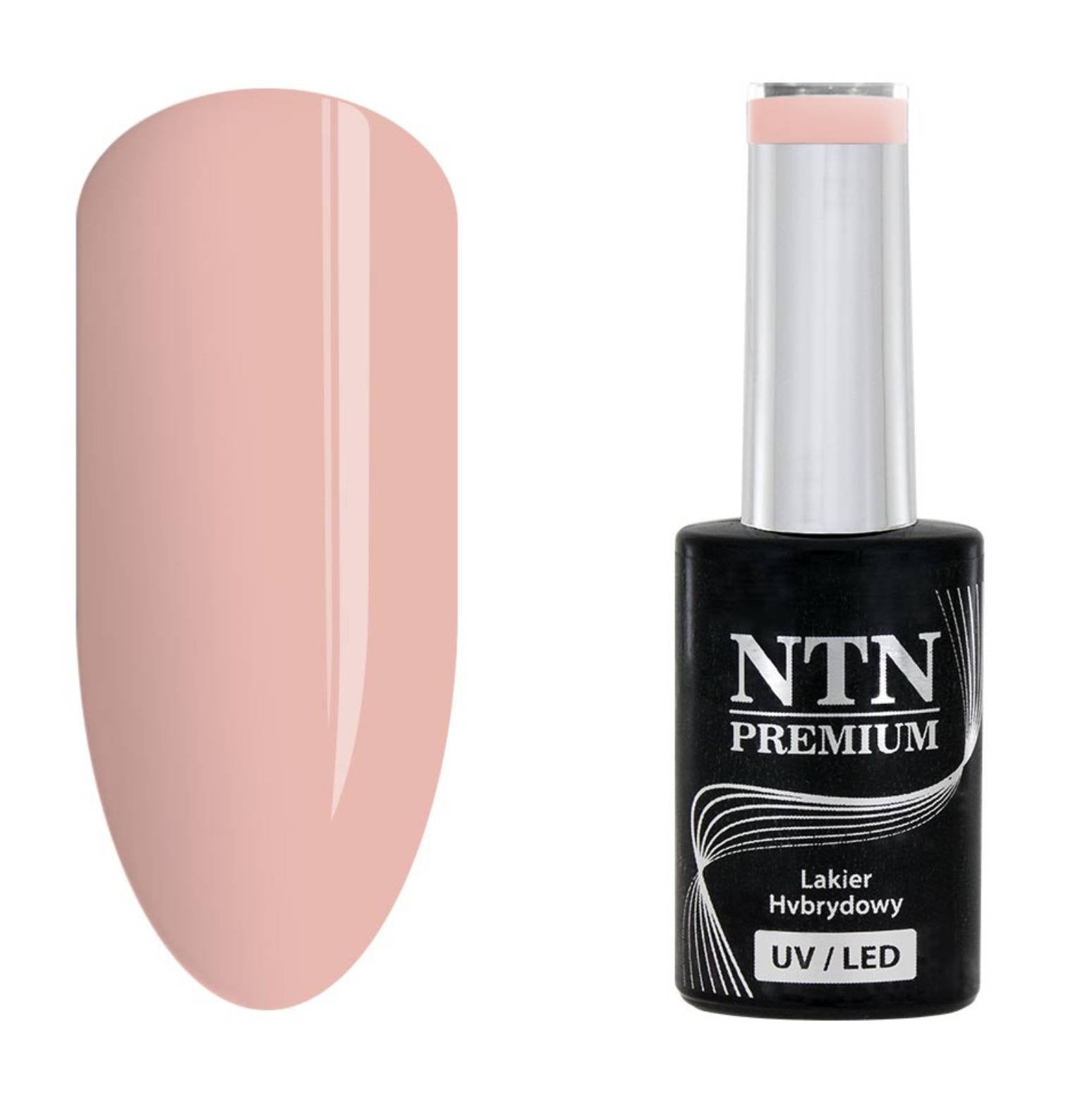 NTN premium 59