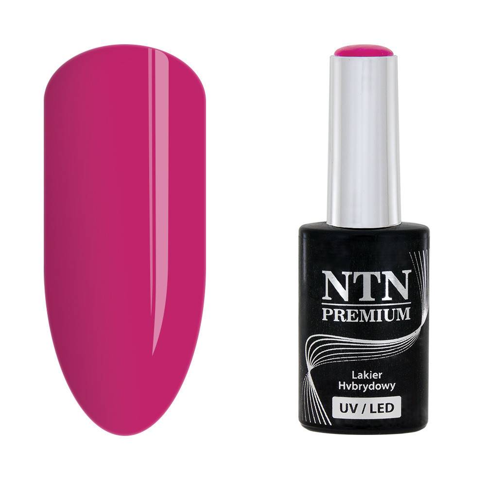 NTN premium 85