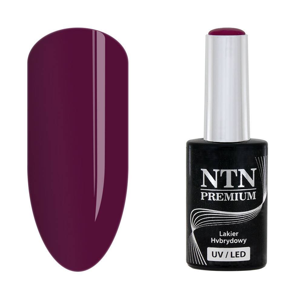 NTN premium 87