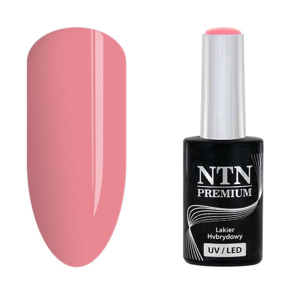 NTN premium 92