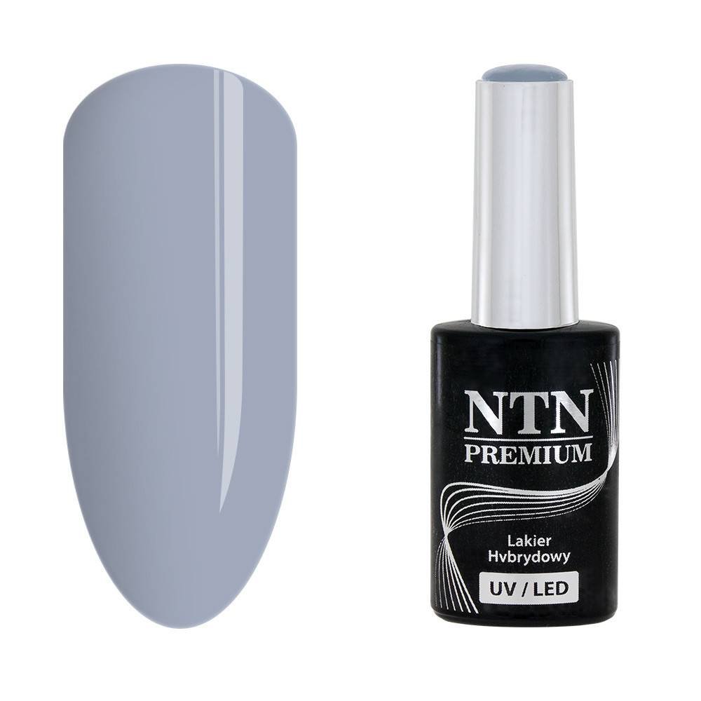 NTN premium 97