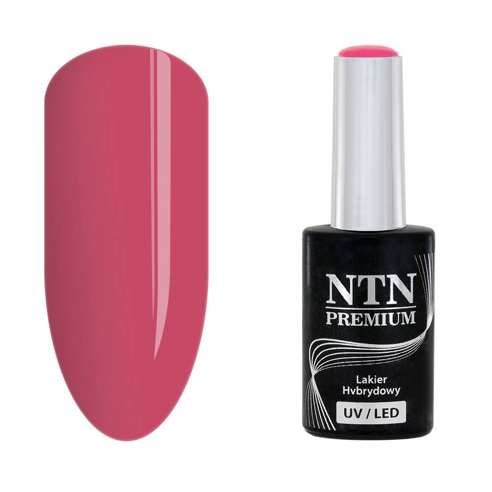 NTN premium 15