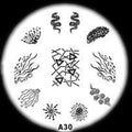 Plaque de Stamping A30 - NailArtBoutique
