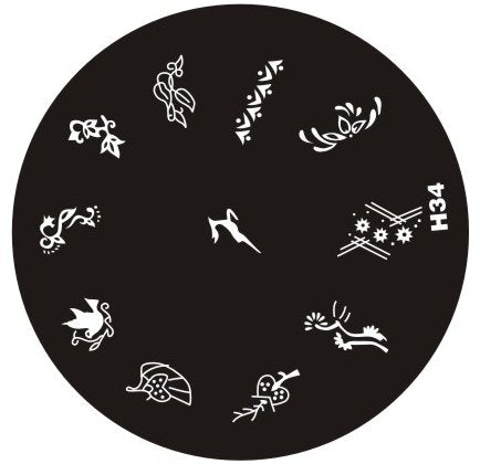 Plaque de Stamping H34 - NailArtBoutique