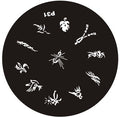 Plaque de Stamping P31 - NailArtBoutique