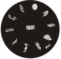 Plaque de Stamping P41 - NailArtBoutique