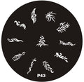 Plaque de Stamping P43 - NailArtBoutique