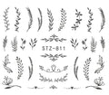 Autocollant Ongle Water Decal Motifs Plantes Noir et Blanc STZ 811 - NailArtBoutique